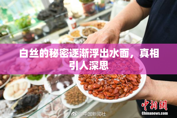 白丝的秘密逐渐浮出水面，真相引人深思