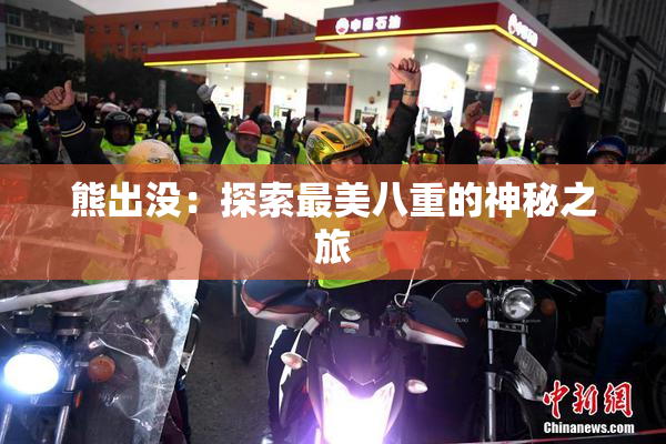 熊出没：探索最美八重的神秘之旅