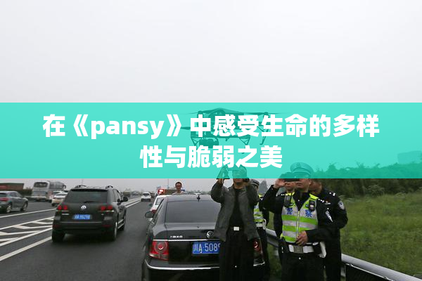 在《pansy》中感受生命的多样性与脆弱之美