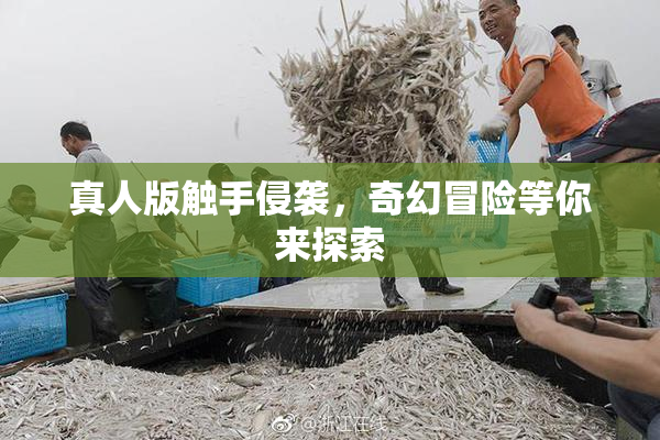 真人版触手侵袭，奇幻冒险等你来探索
