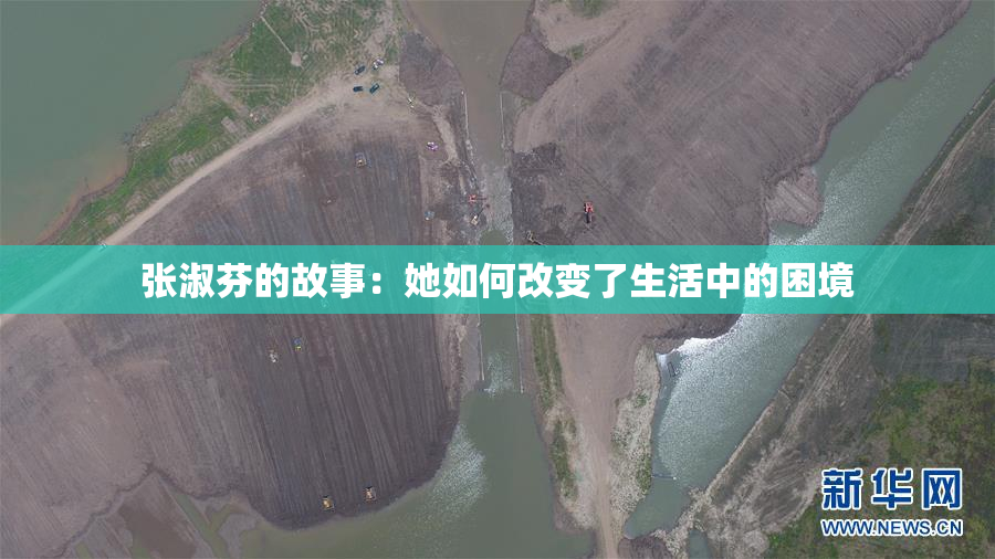 张淑芬的故事：她如何改变了生活中的困境