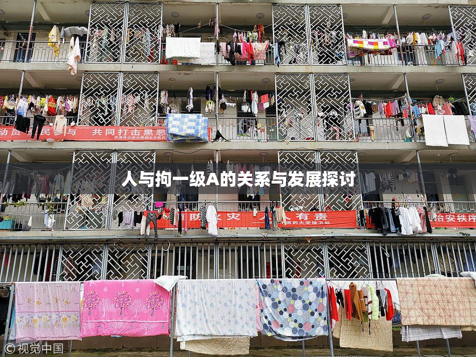 人与拘一级A的关系与发展探讨