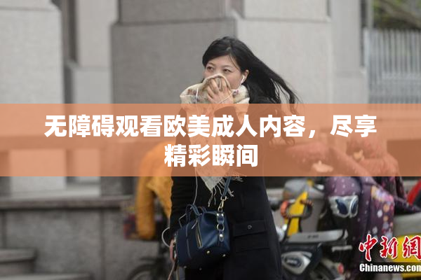 无障碍观看欧美成人内容，尽享精彩瞬间