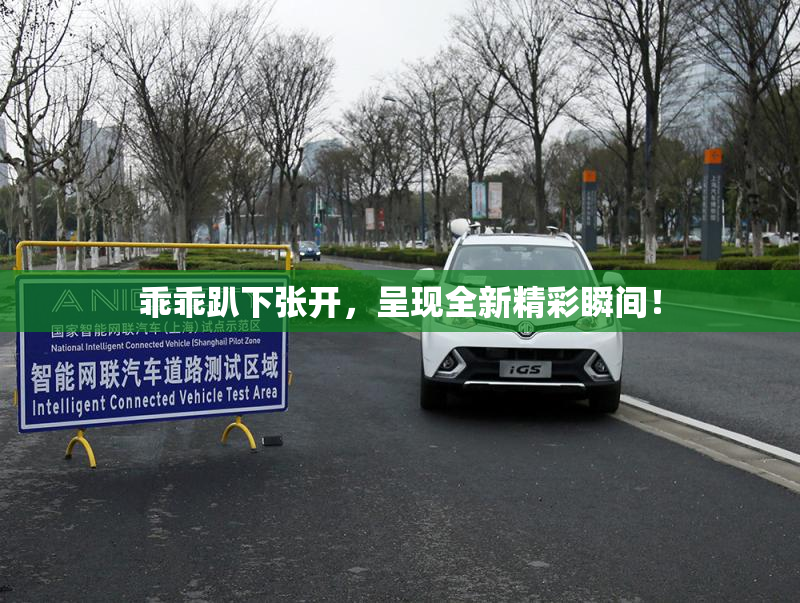 乖乖趴下张开，呈现全新精彩瞬间！