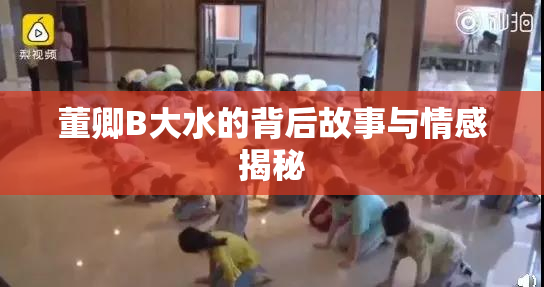 董卿B大水的背后故事与情感揭秘