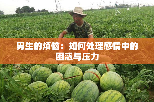 男生的烦恼：如何处理感情中的困惑与压力