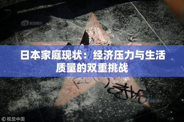日本家庭现状：经济压力与生活质量的双重挑战
