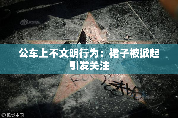 公车上不文明行为：裙子被掀起引发关注