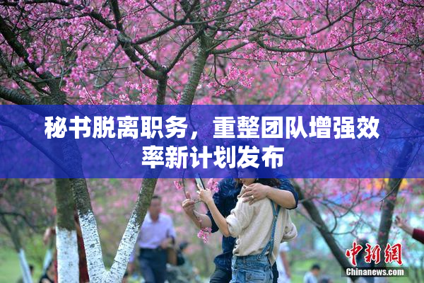 秘书脱离职务，重整团队增强效率新计划发布