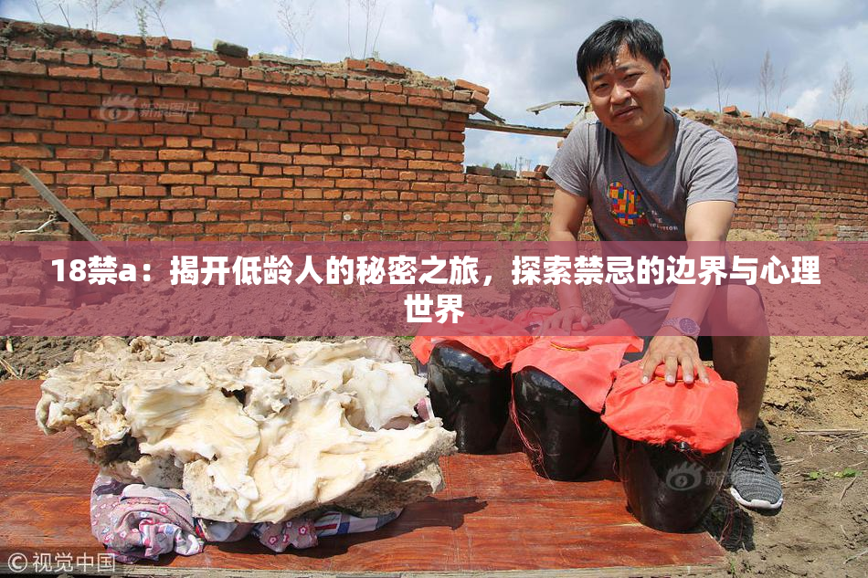 18禁a：揭开低龄人的秘密之旅，探索禁忌的边界与心理世界