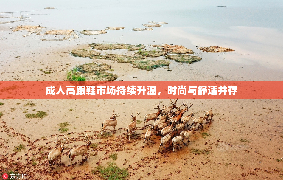 成人高跟鞋市场持续升温，时尚与舒适并存