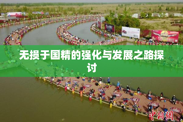 无损于国精的强化与发展之路探讨