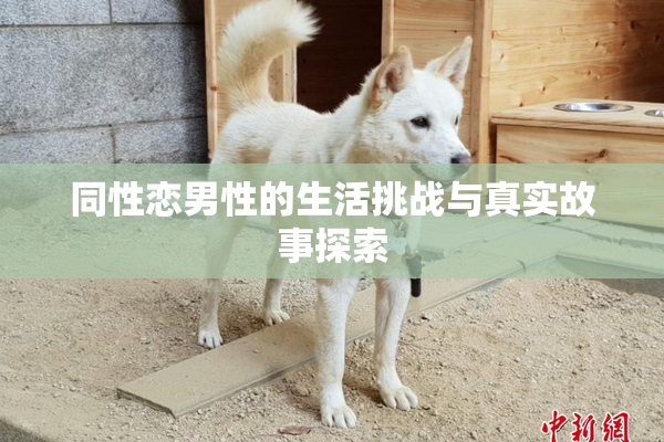 同性恋男性的生活挑战与真实故事探索