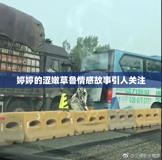 婷婷的涩嫩草鲁情感故事引人关注