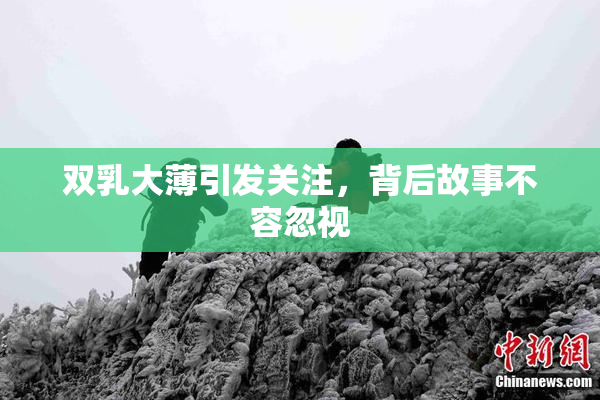 双乳大薄引发关注，背后故事不容忽视