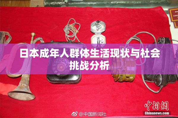 日本成年人群体生活现状与社会挑战分析