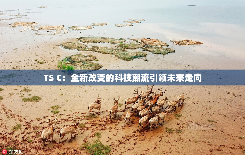 TS C：全新改变的科技潮流引领未来走向