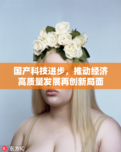 国产科技进步，推动经济高质量发展再创新局面