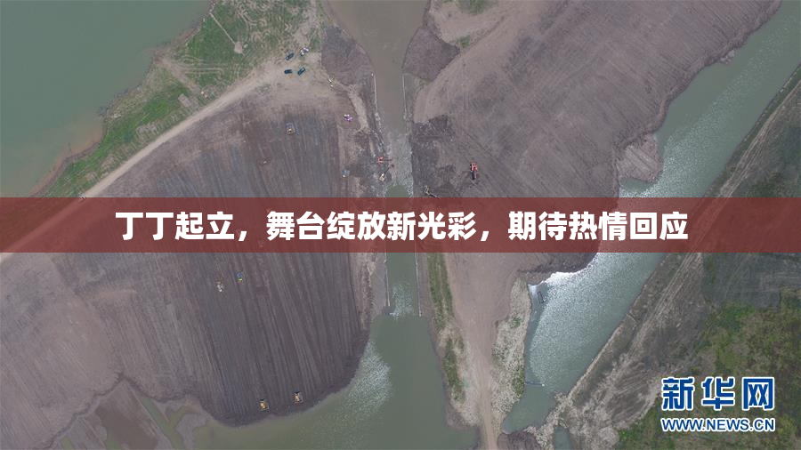 丁丁起立，舞台绽放新光彩，期待热情回应