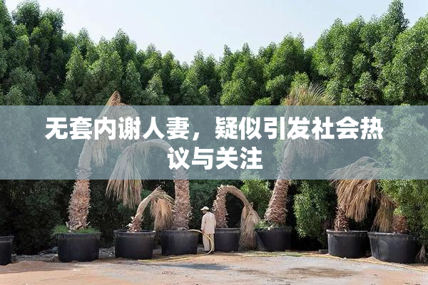 无套内谢人妻，疑似引发社会热议与关注