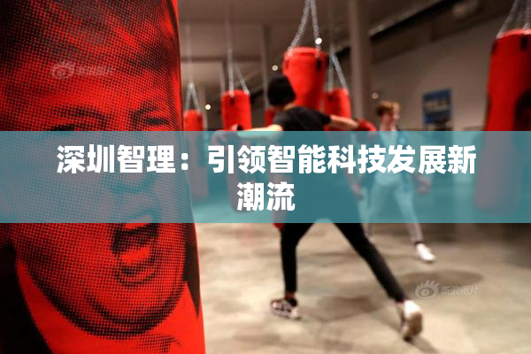 深圳智理：引领智能科技发展新潮流