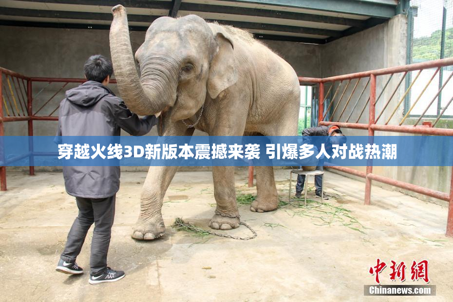 穿越火线3D新版本震撼来袭 引爆多人对战热潮
