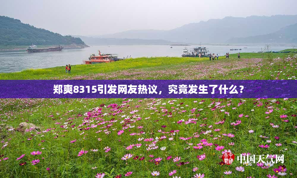 郑爽8315引发网友热议，究竟发生了什么？
