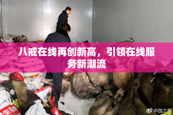 八戒在线再创新高，引领在线服务新潮流