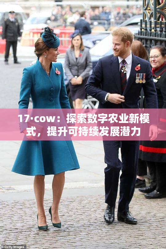 17·cow：探索数字农业新模式，提升可持续发展潜力