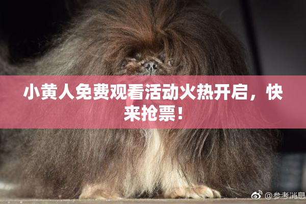 小黄人免费观看活动火热开启，快来抢票！