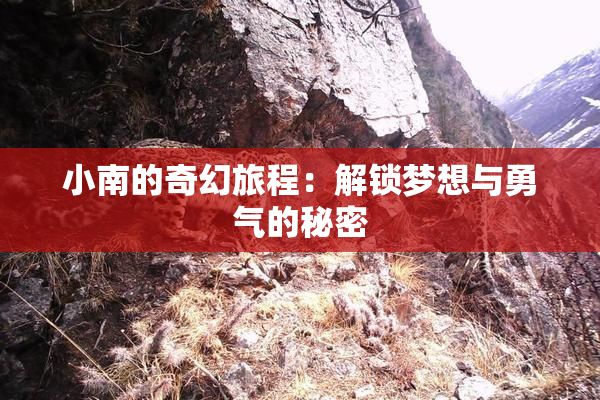 小南的奇幻旅程：解锁梦想与勇气的秘密