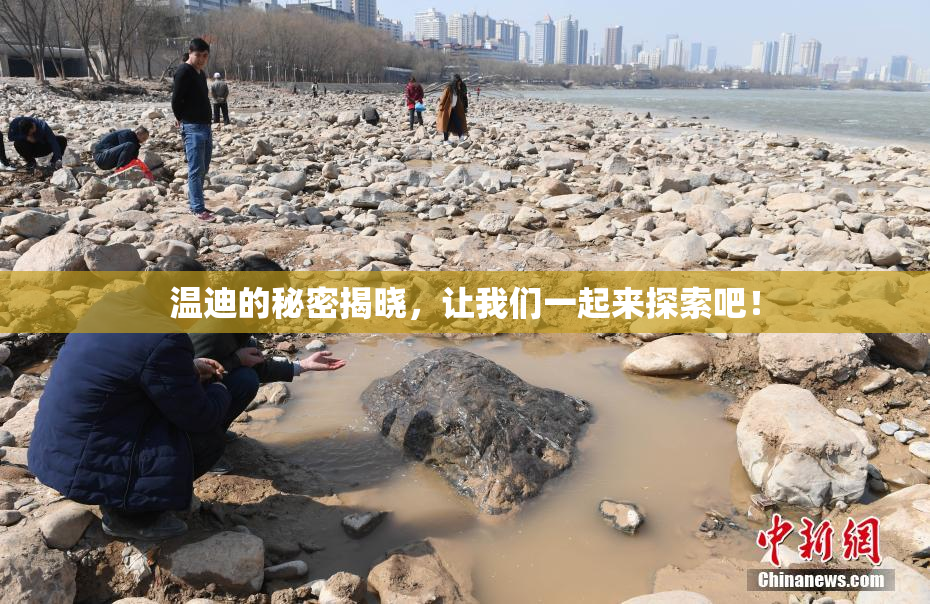 温迪的秘密揭晓，让我们一起来探索吧！