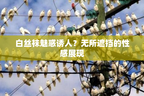 白丝袜魅惑诱人？无所遮挡的性感展现
