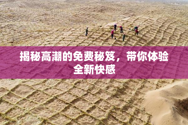 揭秘高潮的免费秘笈，带你体验全新快感