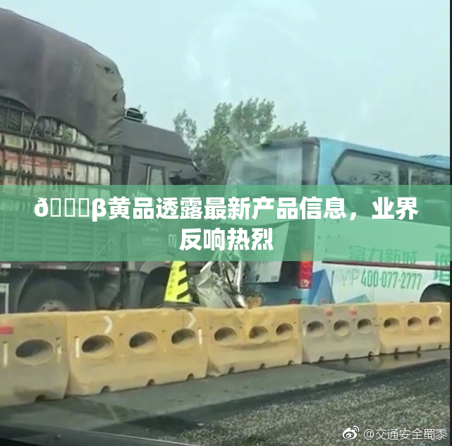🔞β黄品透露最新产品信息，业界反响热烈