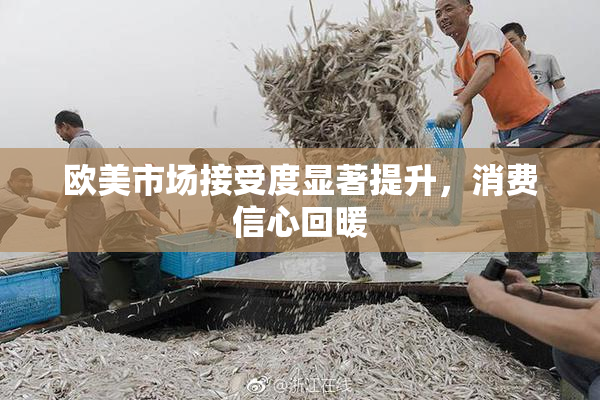欧美市场接受度显著提升，消费信心回暖