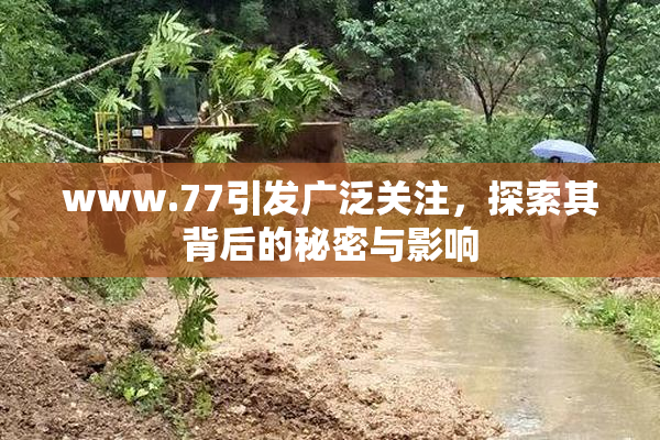 www.77引发广泛关注，探索其背后的秘密与影响