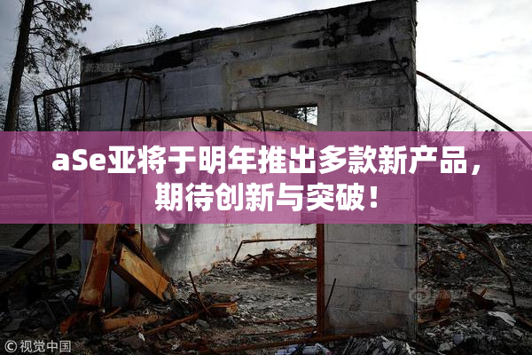 aSe亚将于明年推出多款新产品，期待创新与突破！
