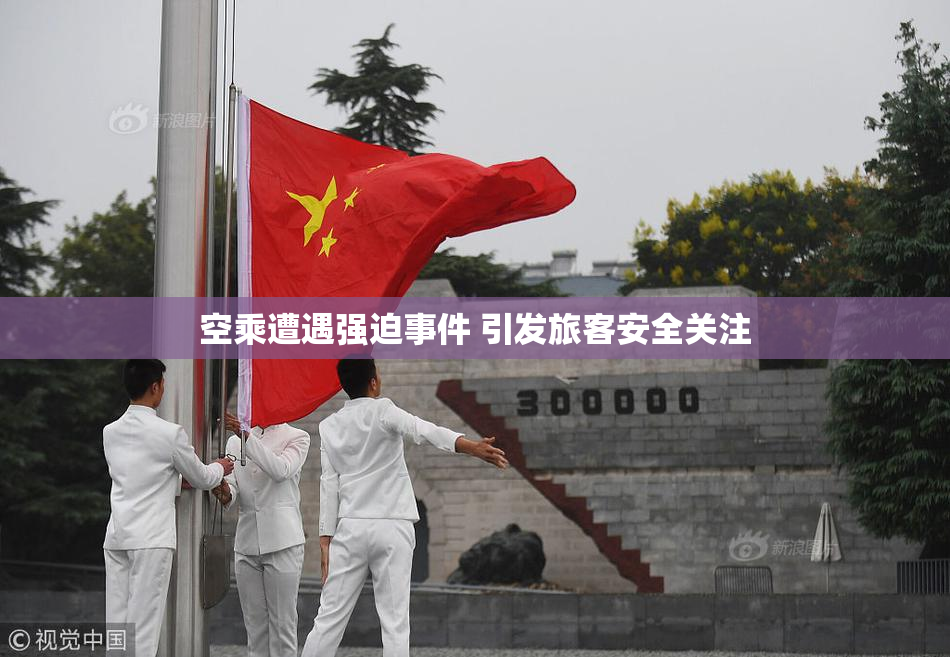 空乘遭遇强迫事件 引发旅客安全关注