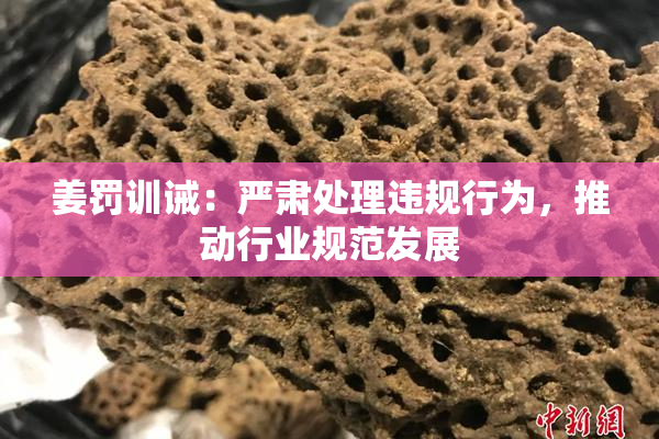 姜罚训诫：严肃处理违规行为，推动行业规范发展