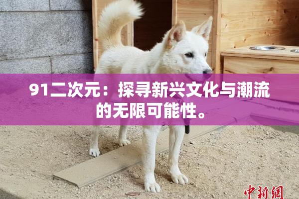 91二次元：探寻新兴文化与潮流的无限可能性。