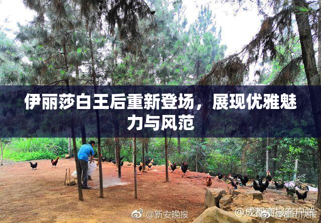 伊丽莎白王后重新登场，展现优雅魅力与风范