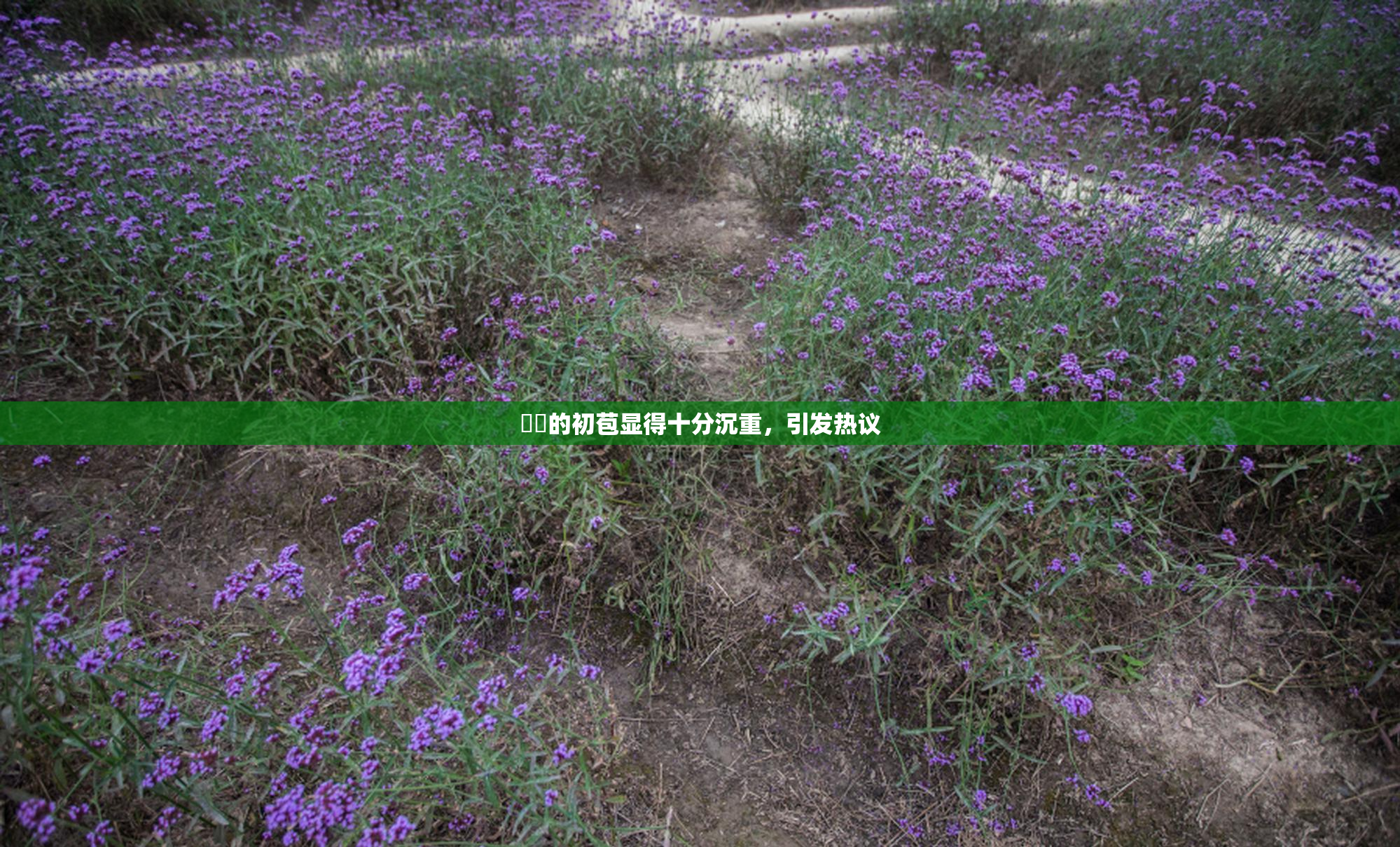 妺妺的初苞显得十分沉重，引发热议
