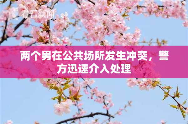 两个男在公共场所发生冲突，警方迅速介入处理