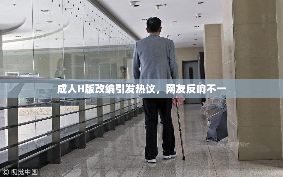成人H版改编引发热议，网友反响不一