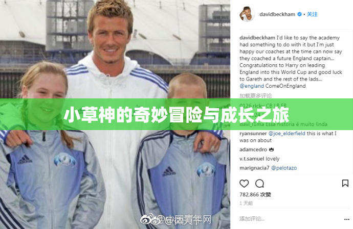 小草神的奇妙冒险与成长之旅