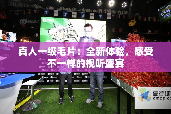 真人一级毛片：全新体验，感受不一样的视听盛宴