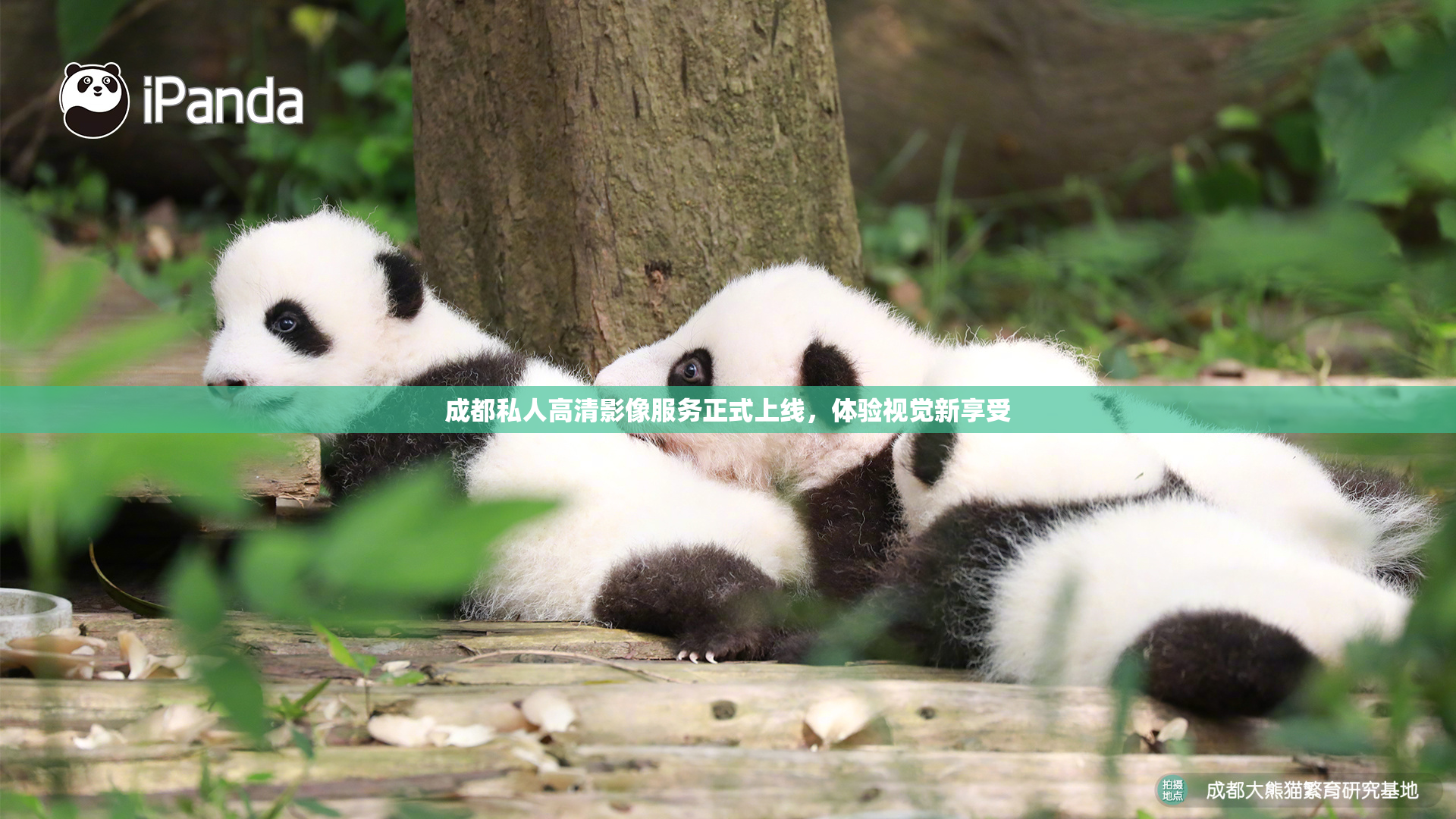 成都私人高清影像服务正式上线，体验视觉新享受