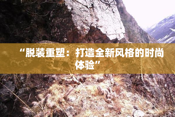 “脱装重塑：打造全新风格的时尚体验”