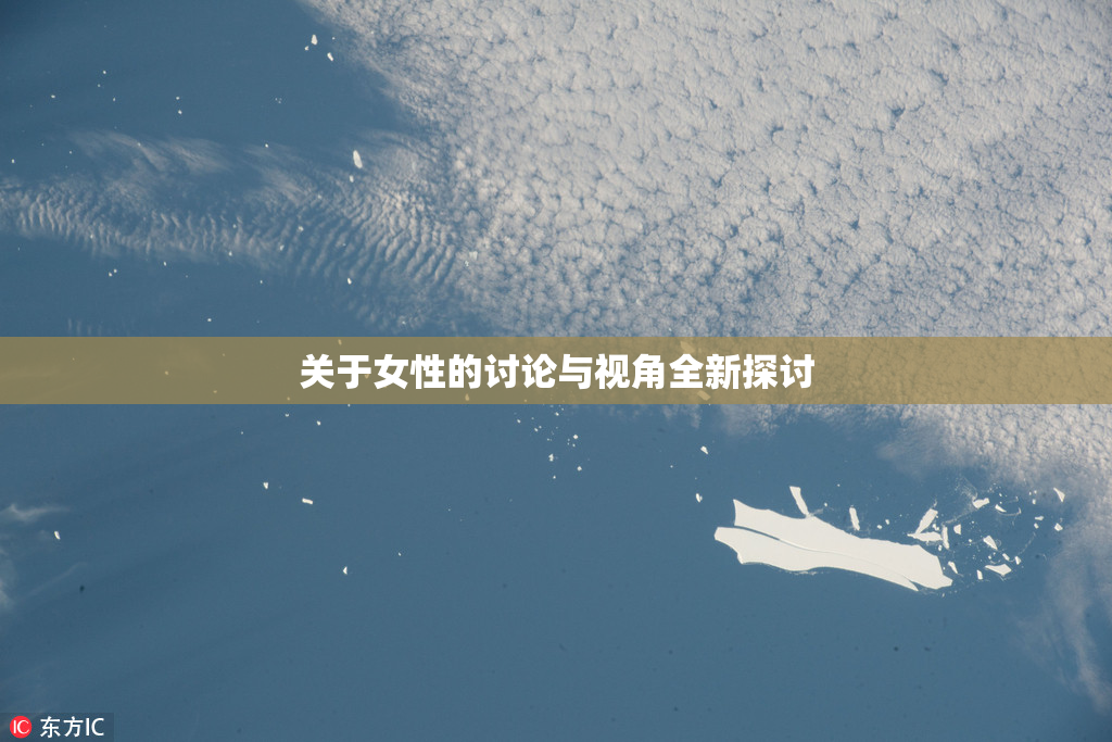 关于女性的讨论与视角全新探讨